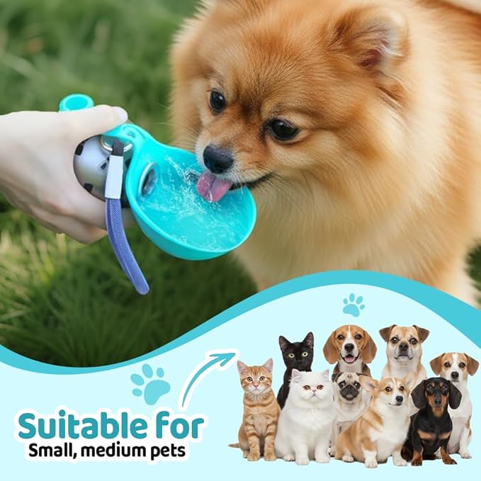 Stainless Steel Pet Water Bottle Outdoor Travel | BK Choice
