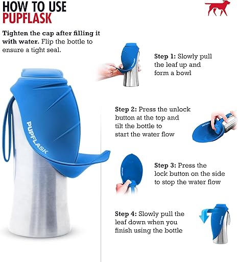 Large Stainless Steel Dog Bottle Outdoor Use | BK Choice