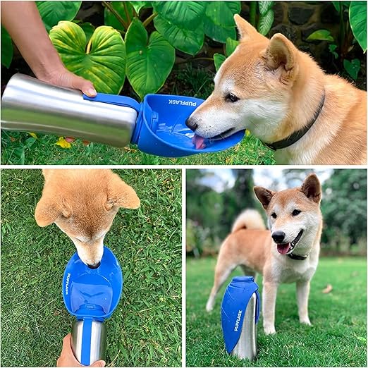 Dog Water Bottle Large Medium Small Breeds Pakistan | BK Choice